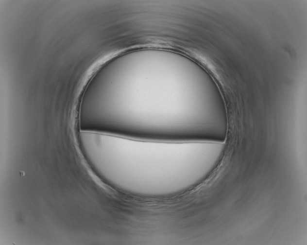 X0000113561379200909181011