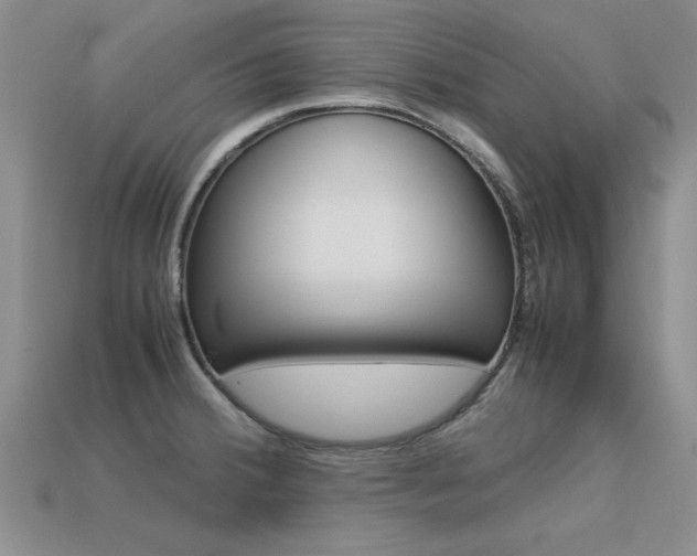 X0000113561380200909181011