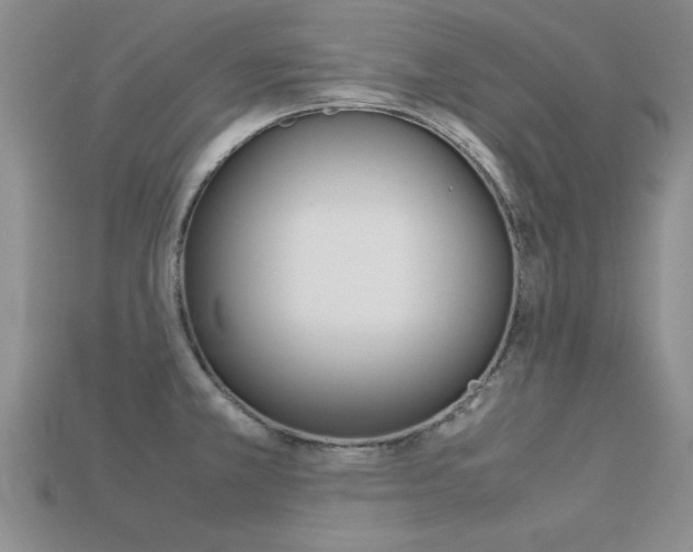 X0000113561381200909181011