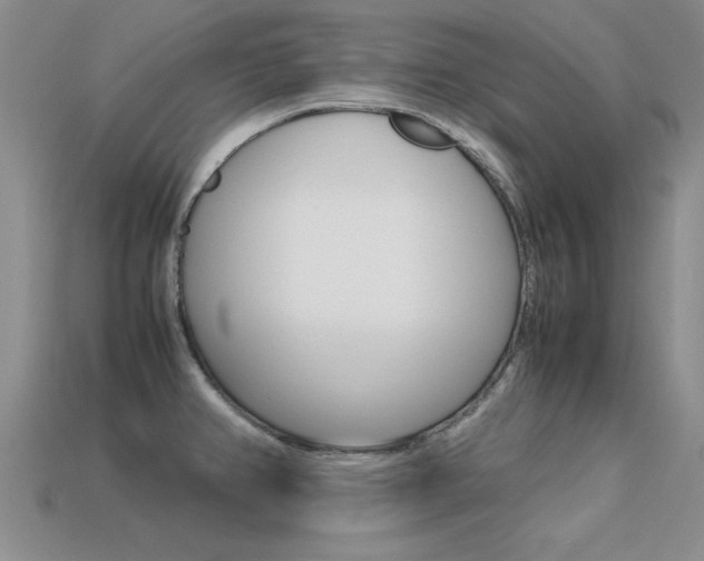 X0000113561382200909181011
