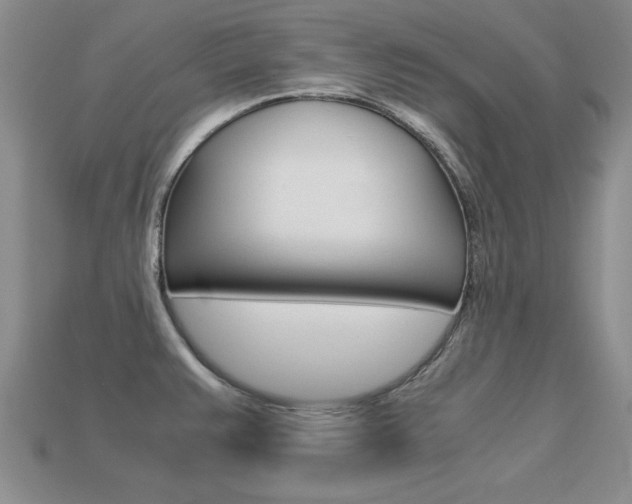 X0000113561383200909181011