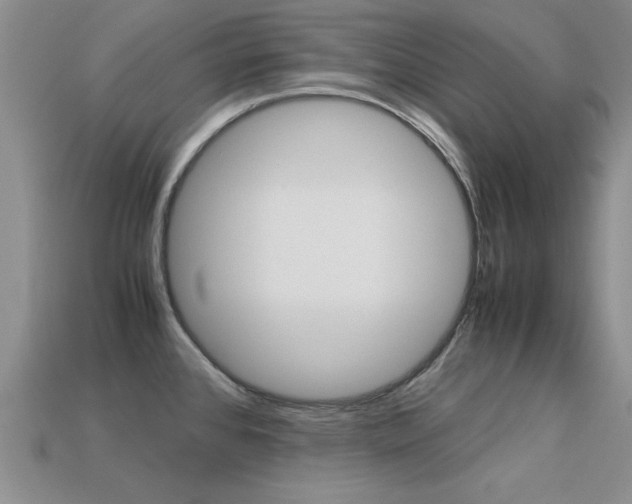 X0000113561384200909181011