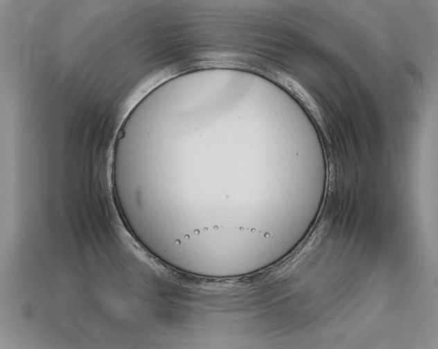 X0000113561386200909181011