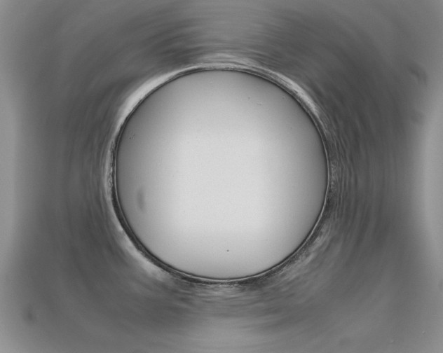 X0000113561387200909181011