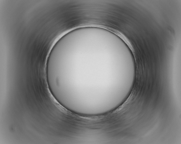 X0000113561388200909181011