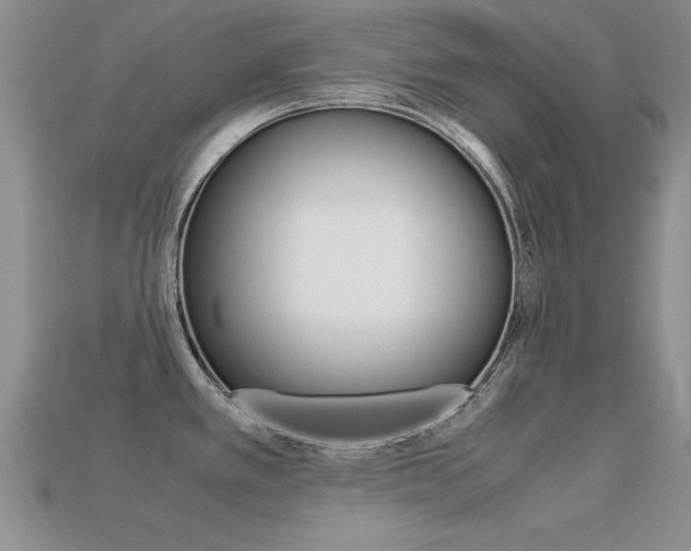 X0000113561389200909181011