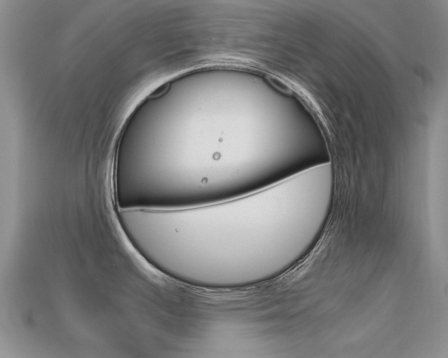 X0000113561391200909181011