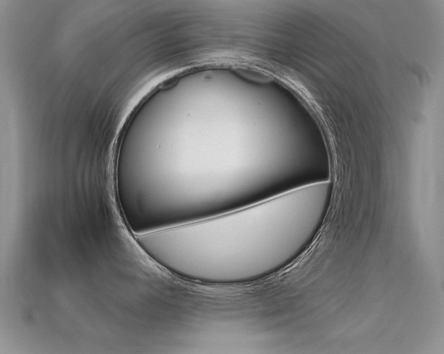 X0000113561392200909181011