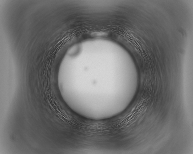 X0000113561393200909181011