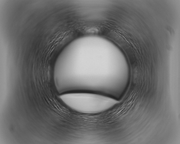 X0000113561394200909181011
