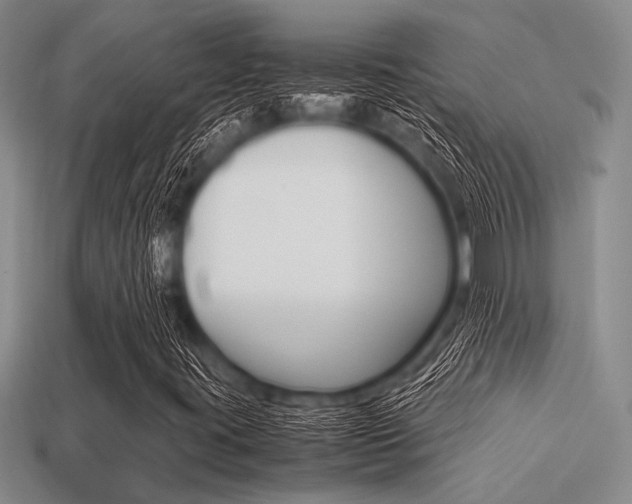X0000113561395200909181011