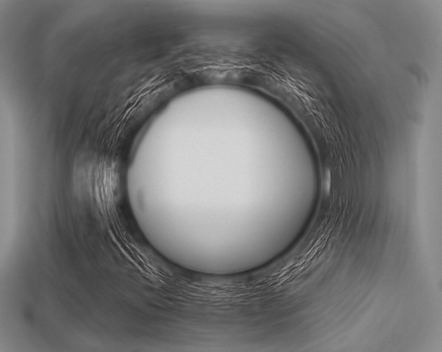 X0000113561396200909181011
