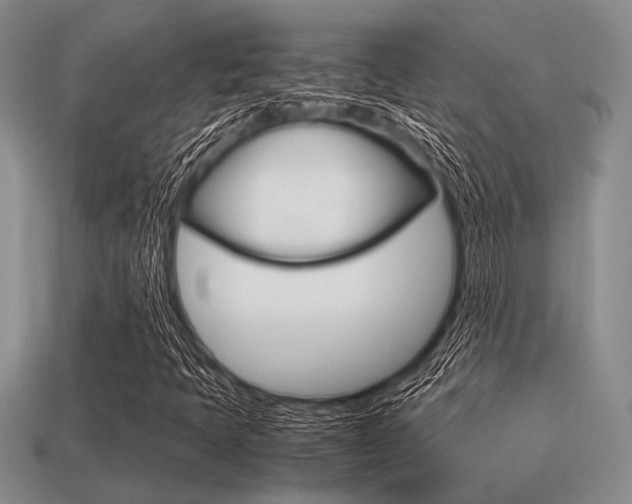 X0000113561397200909181011