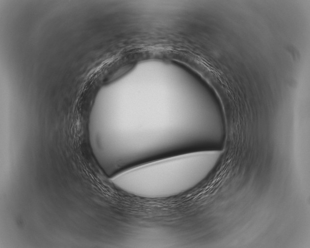 X0000113561398200909181011