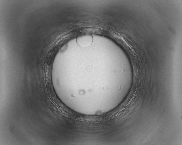 X0000113561399200909181011