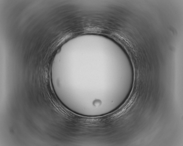 X0000113561401200909181011