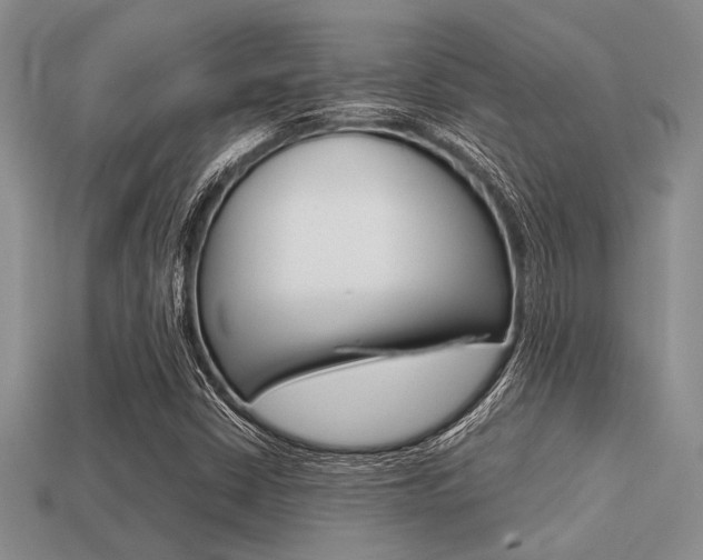 X0000113561402200909181011