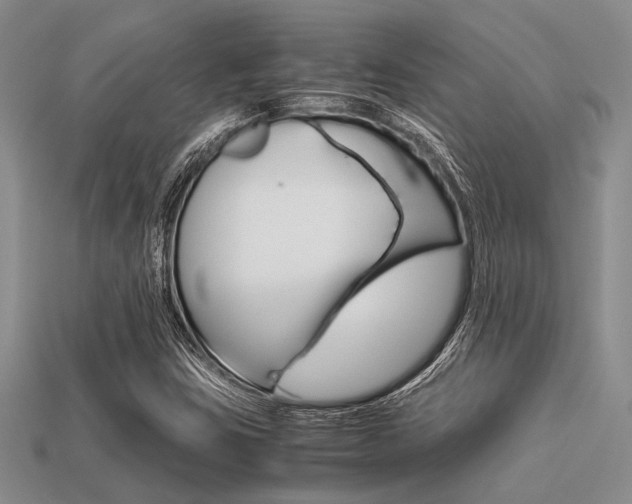 X0000113561403200909181011