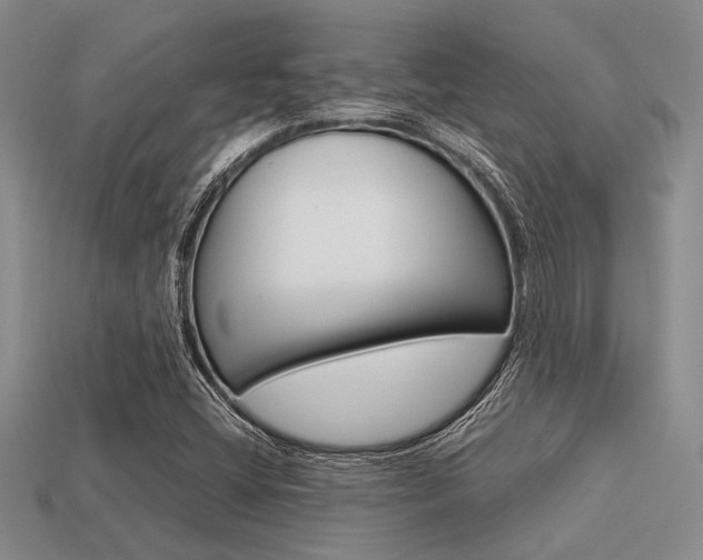 X0000113561404200909181011