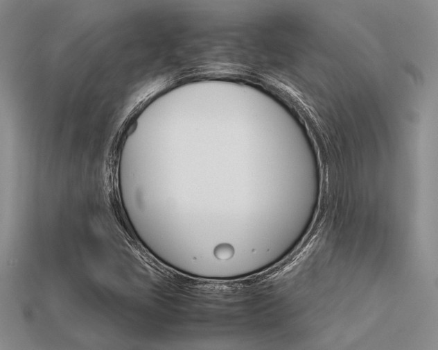 X0000113561405200909181011