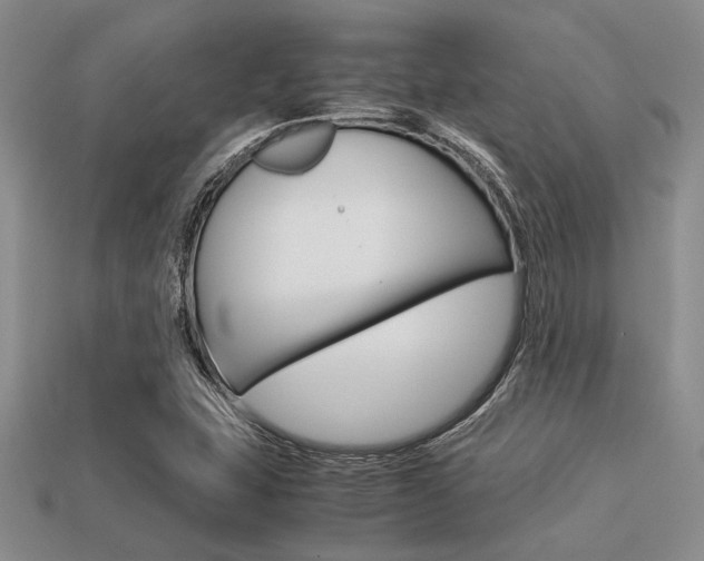 X0000113561407200909181011