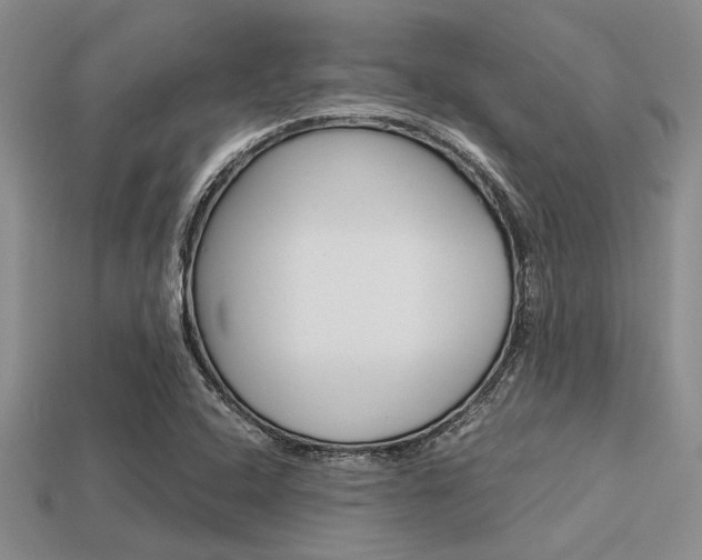 X0000113561408200909181011