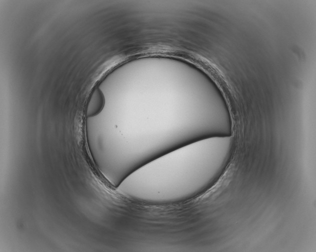 X0000113561409200909181011