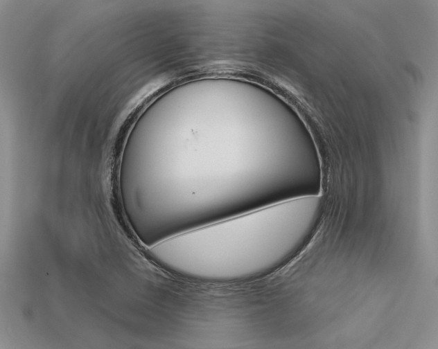 X0000113561410200909181011