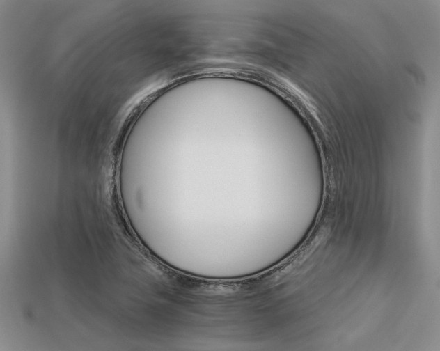 X0000113561411200909181011