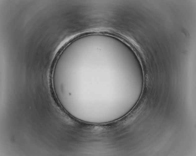 X0000113561412200909181011