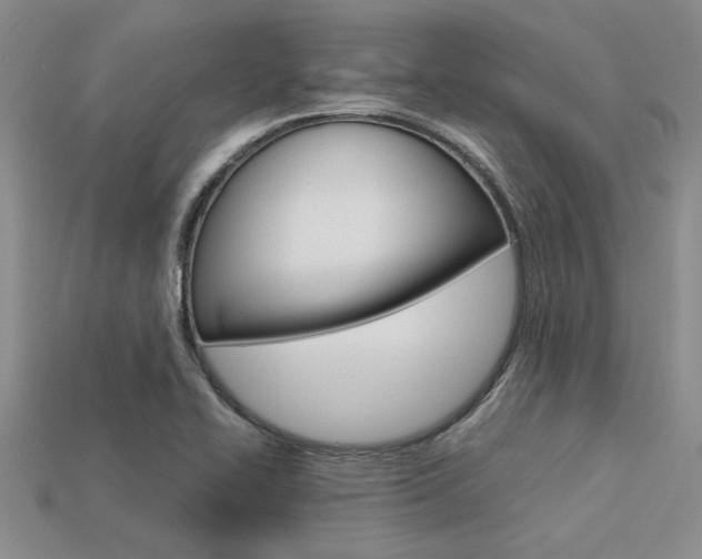 X0000113561414200909181011