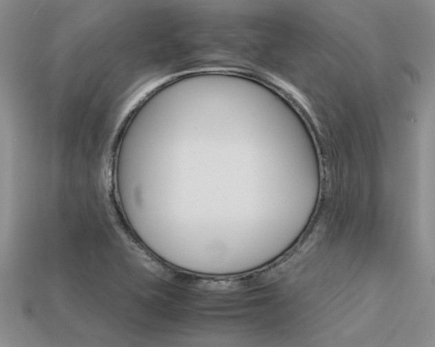 X0000113561415200909181011