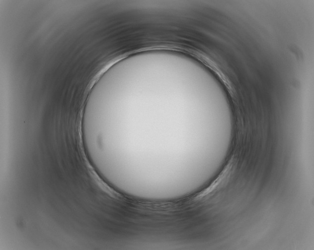 X0000113561417200909181011