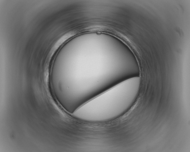 X0000113561418200909181011
