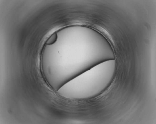 X0000113561419200909181011