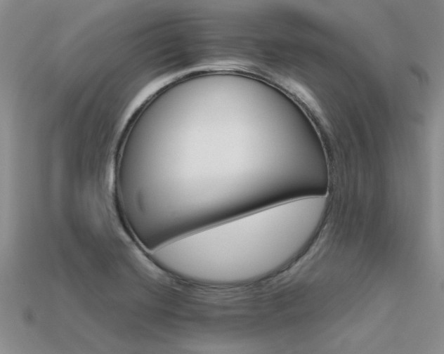 X0000113561420200909181011