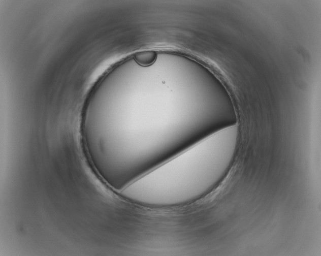 X0000113561422200909181011