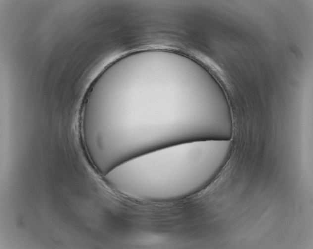 X0000113561423200909181011