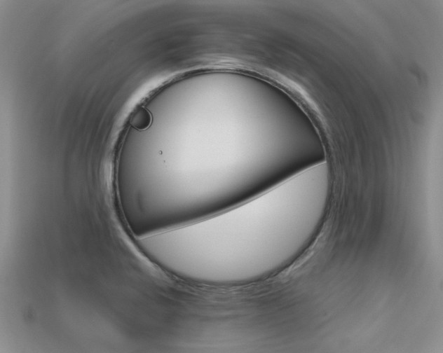 X0000113561424200909181011