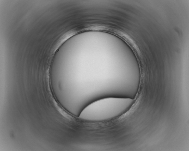 X0000113561425200909181011