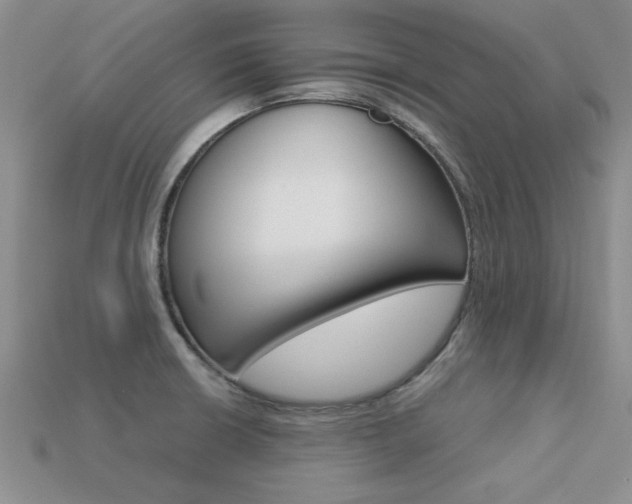 X0000113561426200909181011