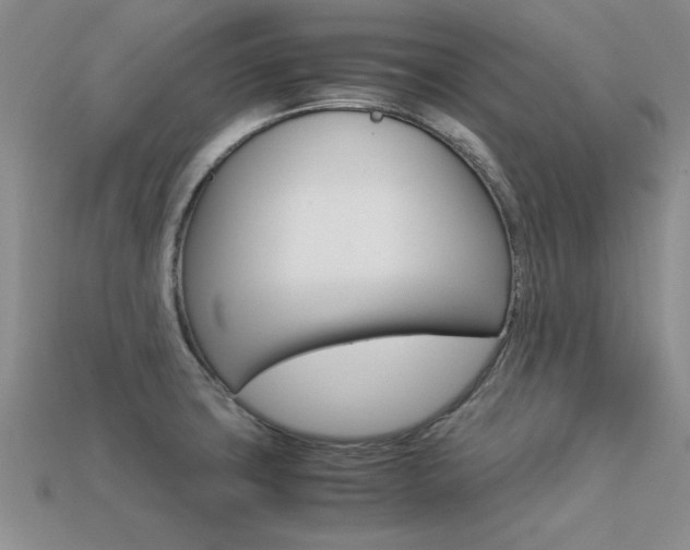 X0000113561427200909181011