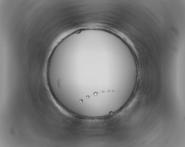 X0000113561429200909181011