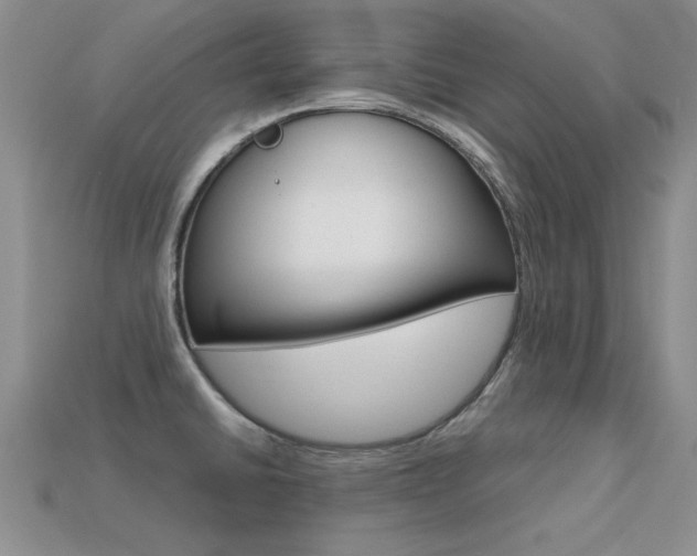 X0000113561430200909181011