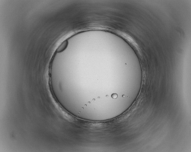 X0000113561431200909181011