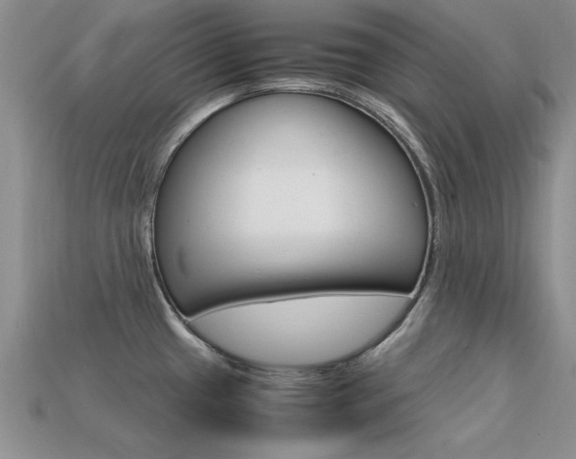 X0000113561433200909181011