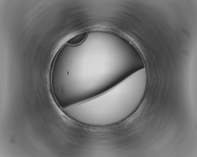X0000113561434200909181011