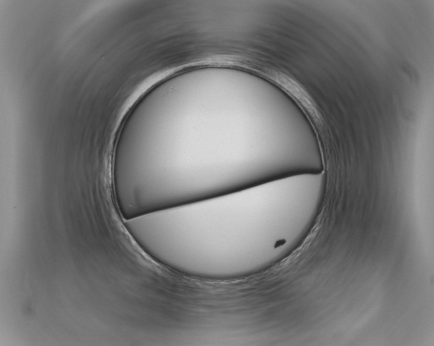 X0000113561436200909181011