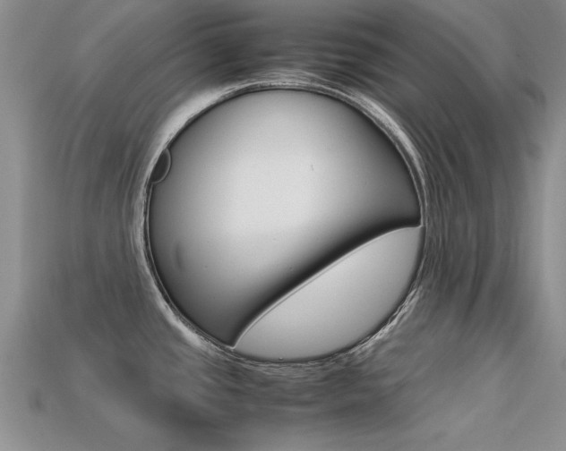 X0000113561437200909181011