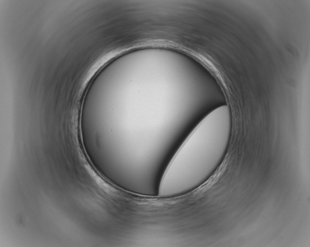 X0000113561438200909181011